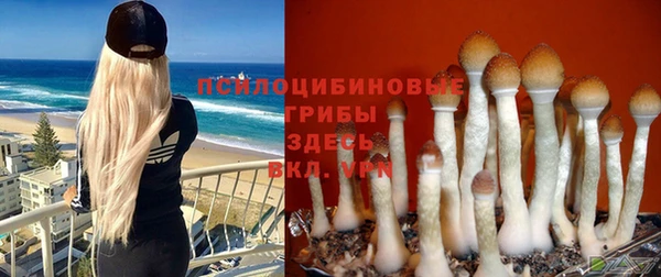 меф Беломорск