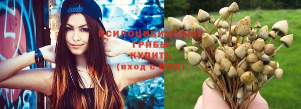 соль курить ск Белокуриха