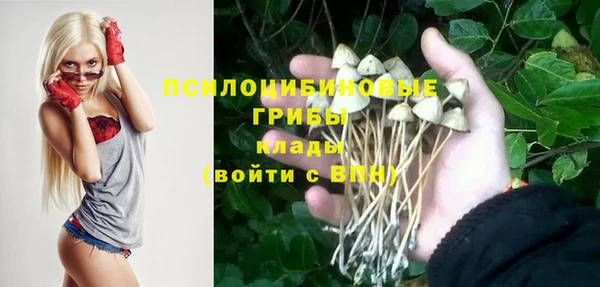 соль курить ск Белокуриха